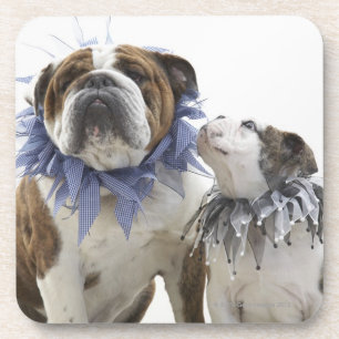 Porta-copo Buldogue britânico e filhote de cachorro que