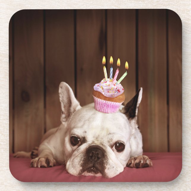 Porta-copo Buldogue francês com cupcake do aniversário (Frente)