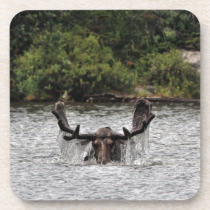 Porta-copo Bull Moose