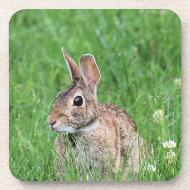 Porta-copo Bunny (Frente)