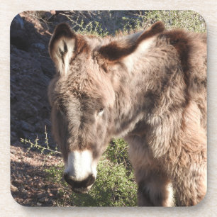 Porta-copo Burros selvagens, burros, animais selvagens, porta