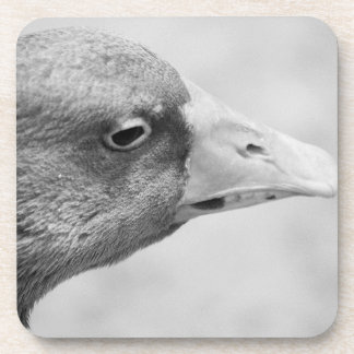 Porta-copo BW Goose