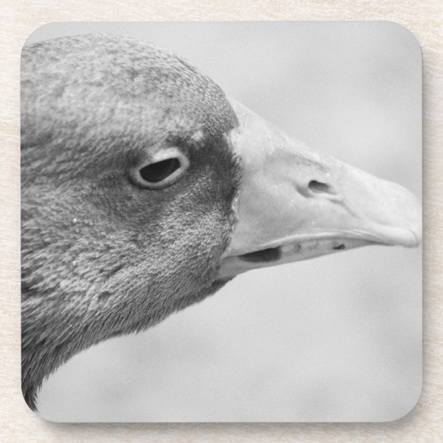Porta-copo BW Goose (Frente)