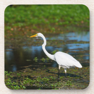 Porta-copo Caça ao Egret