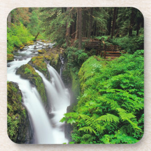Porta-copo Cachoeira Sol Duc no Parque Nacional Olímpico em
