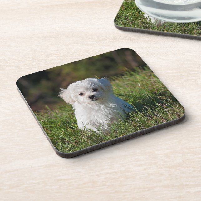 Porta-copo Cachorrinho branco fofo (Left Side)