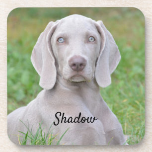 Porta-copo Cachorro-Cachorro Personalizado do Weimaraner