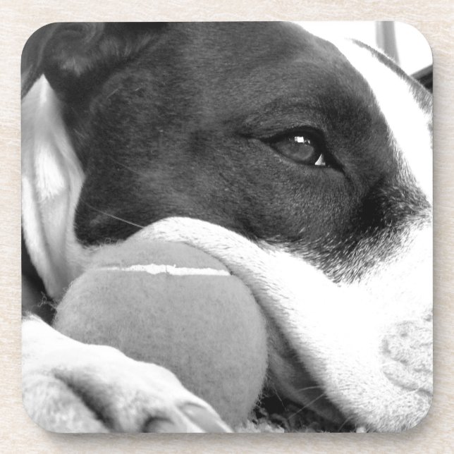 Porta-copo cachorro pitbull fofo e triste, preto e branco com (Frente)