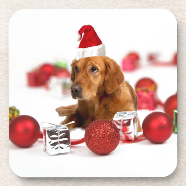 Porta-copo Cachorro Retriever Dourado Com Chapéu Vermelho de  (Frente)