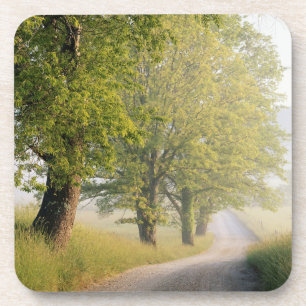 Porta-copo Cades Cove Grandes Montanhas Smokey, TN