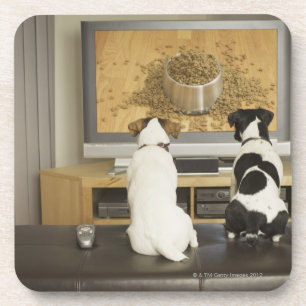 Porta-copo Cães que olham o prato do cão com comida na tev