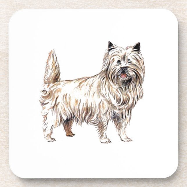 Porta-copo Cairn Terrier (Frente)