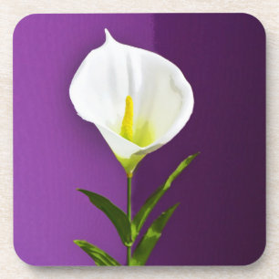 Porta-copo Cala Lily Flower