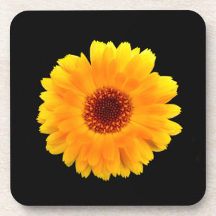Porta-copo Calendula Officinalis