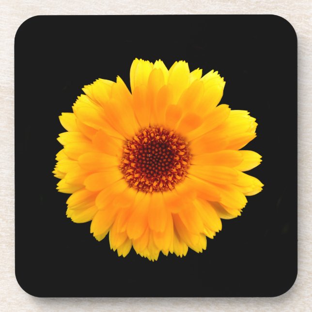 Porta-copo Calendula Officinalis (Frente)