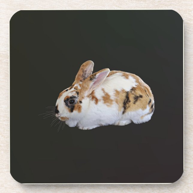 Porta-copo Calico Rabbit (Frente)
