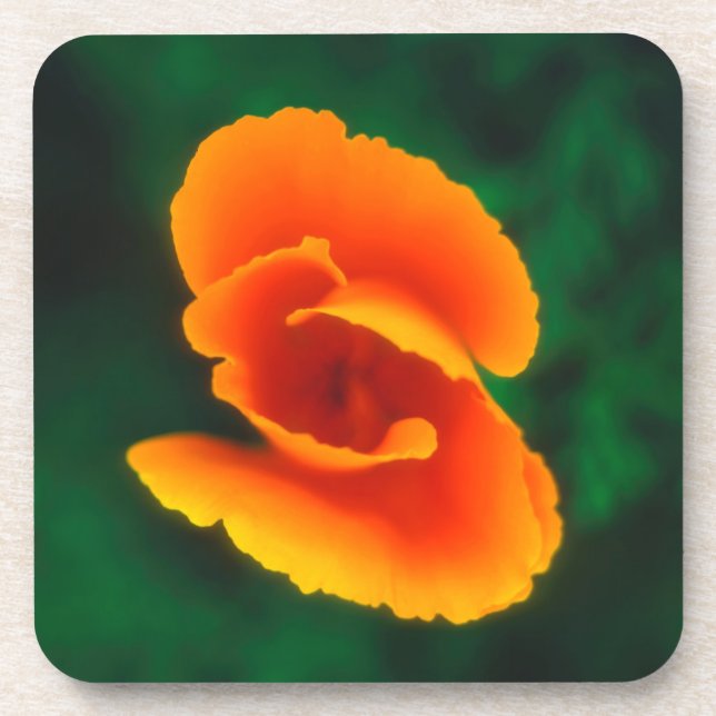 Porta-copo California Poppy (Frente)