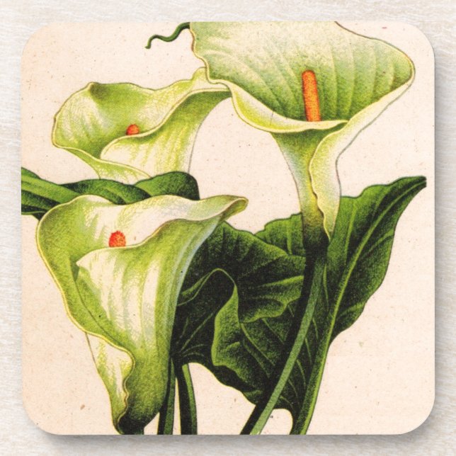 Porta-copo calla lily calla lily (Frente)