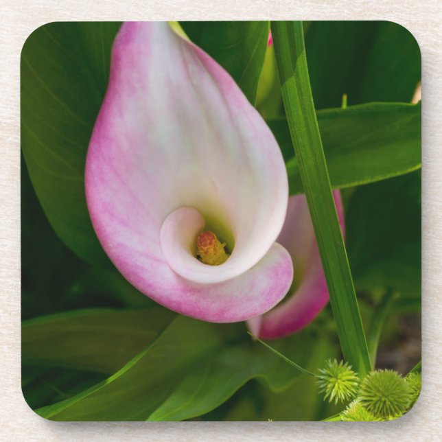 Porta-copo Calla Roll (Frente)