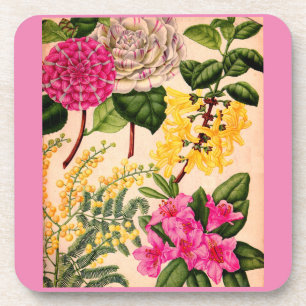 Porta-copo camellia, forsythia, rododendron e acácia