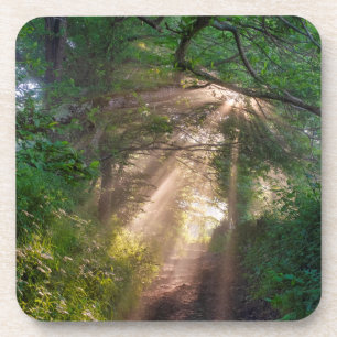 Porta-copo Caminho da Floresta