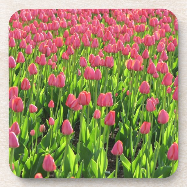 Porta-copo Campo de Tulipas Rosa (Frente)