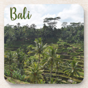 Porta-copo Campos de Arroz Atingidos por Ubud Bali