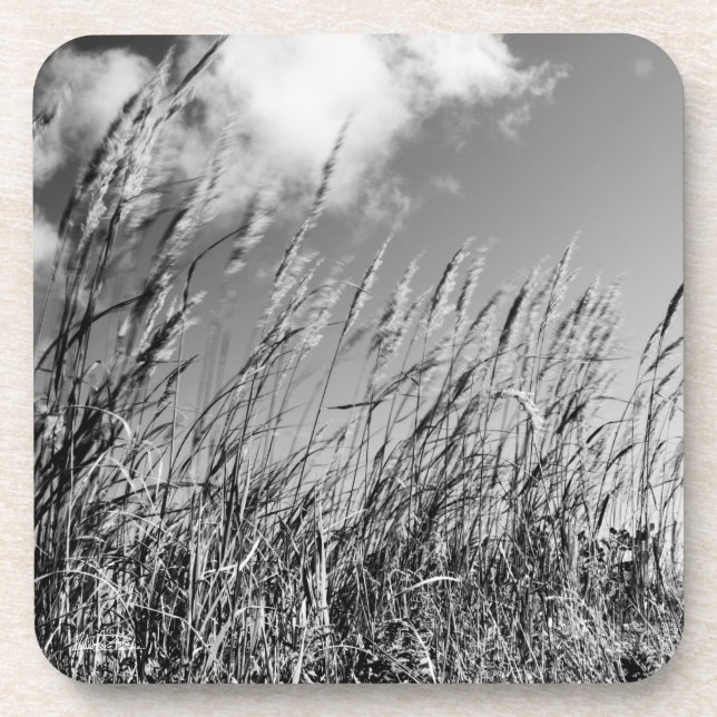 Porta-copo campos de trigo (Frente)