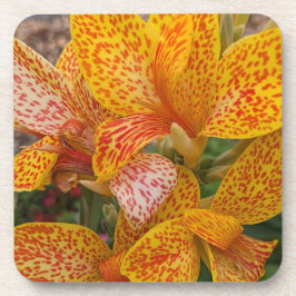 Porta-copo Canna Lily Floral, Amarelo e Vermelho, Espetado