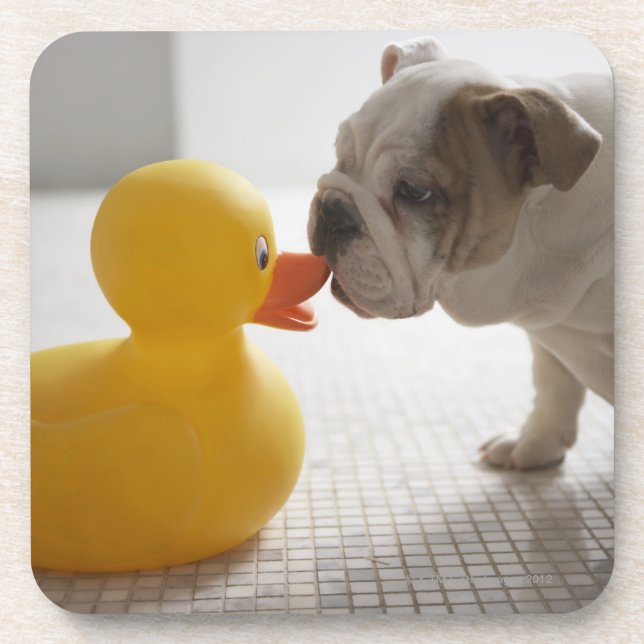Porta-copo Cão com pato plástico (Frente)