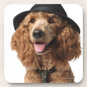 Porta-copo Cão de caniche dourado que veste o chapéu e o la