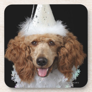 Porta-copo Cão de caniche dourado que veste um traje branco