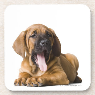 Porta-copo Cão de filhote de cachorro 2