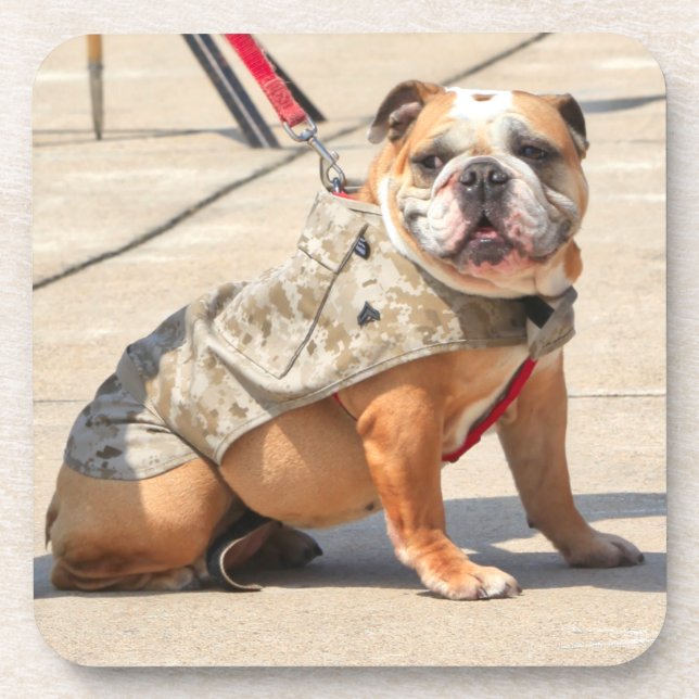 PORTA-COPO CÃO DE SERVIÇO MILITAR DOS EUA (Frente)