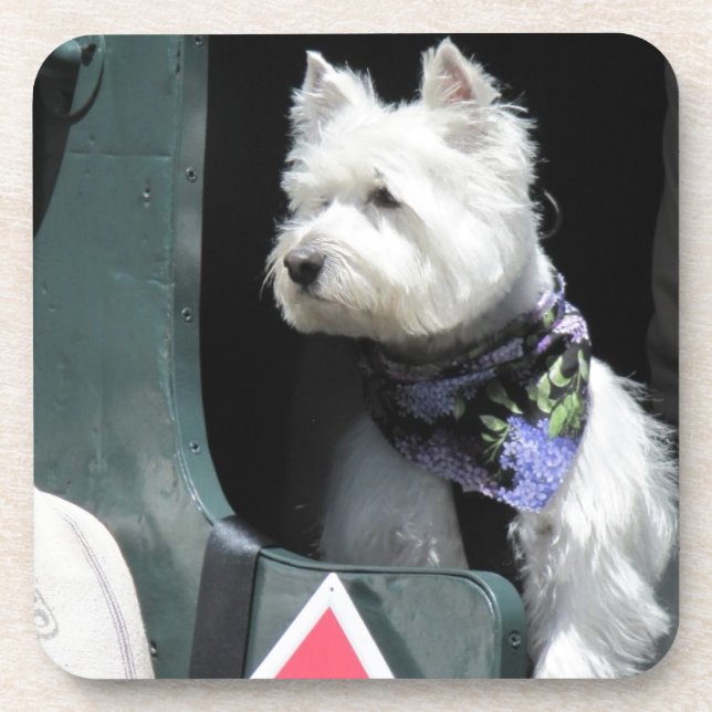 Porta-copo Cão de Terrier da estrada de ferro (Frente)