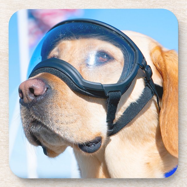 PORTA-COPO CÃO DE TRABALHO MILITAR DOS EUA (Frente)