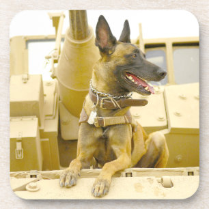 PORTA-COPO CÃO DE TRABALHO MILITAR DOS EUA