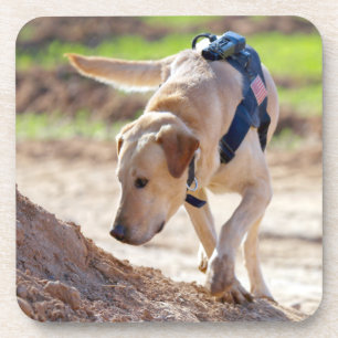 PORTA-COPO CÃO DE TRABALHO MILITAR DOS EUA