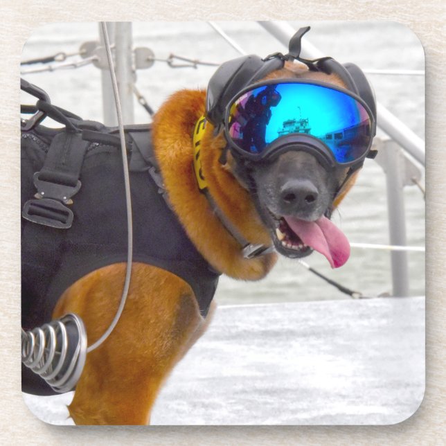 PORTA-COPO CÃO DE TRABALHO MILITAR DOS EUA (Frente)
