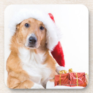 Porta-copo Cão do Natal com antler e os presentes coloridos