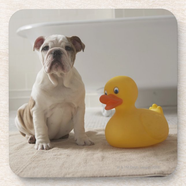 Porta-copo Cão na esteira com pato plástico (Frente)