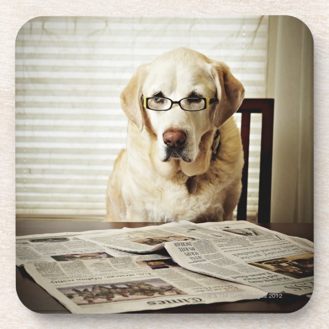 Porta-copo Cão na rotina da manhã (Frente)