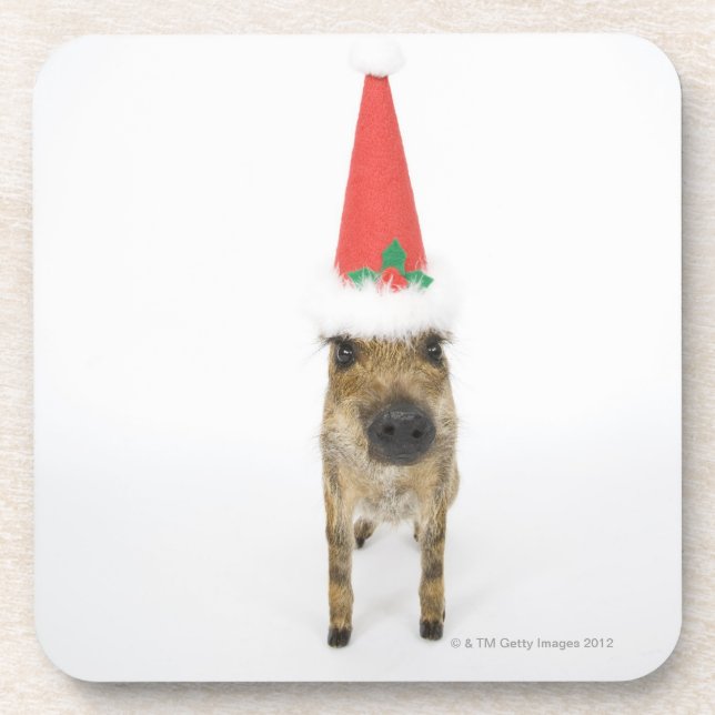 Porta-copo Cão no chapéu do Natal (Frente)