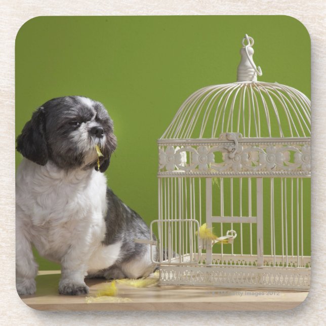 Porta-copo Cão perto de uma gaiola de pássaro (Frente)