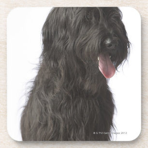 Porta-copo Cão preto, Briard