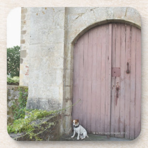 Porta-copo Cão que senta-se na frente das portas fechados