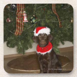 Porta-copo Cão que senta-se por uma árvore de Natal