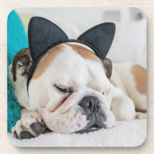 Porta-copo Cão sonolento das imagens de Getty com Headband