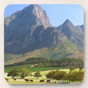 Porta-copo Cape Town, Cabo Ocidental, África do Sul
