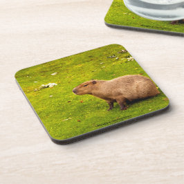 Porta-copo Capivara